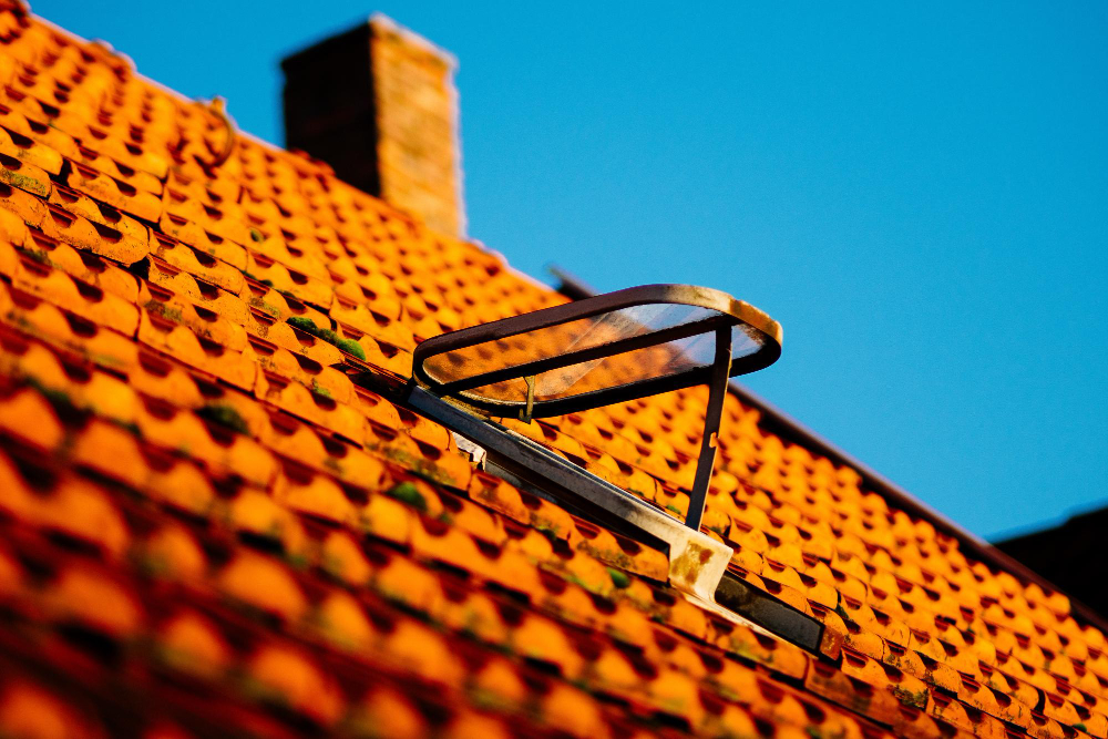 algimouss, produit de démoussage