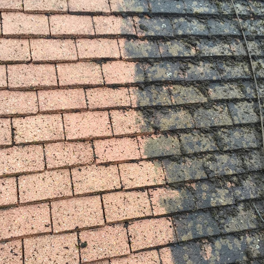 fournissuer demoussage Arcane